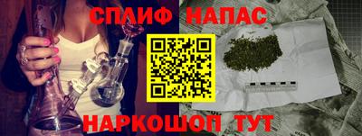 индика Тара
