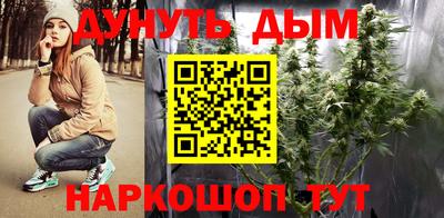 индика Тара