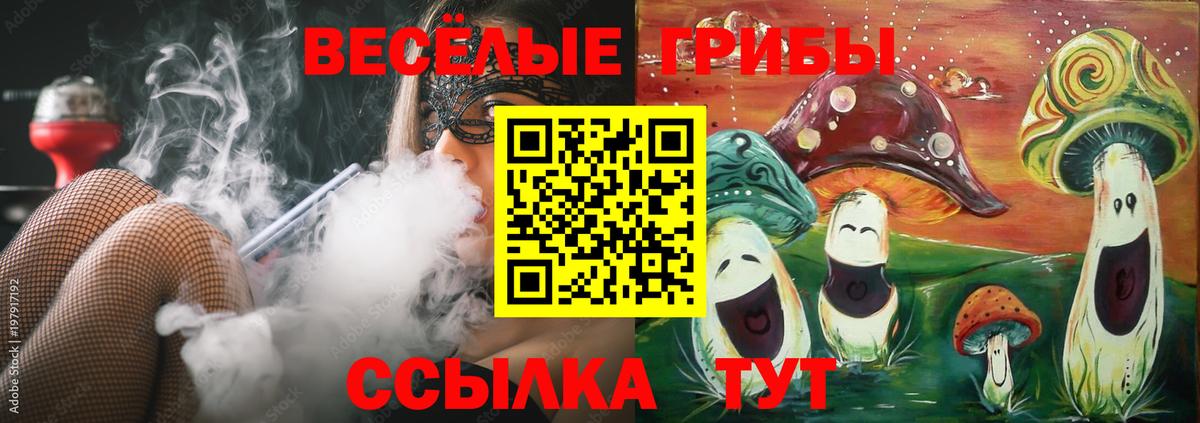 Галлюциногенные грибы мухоморы Заволжье